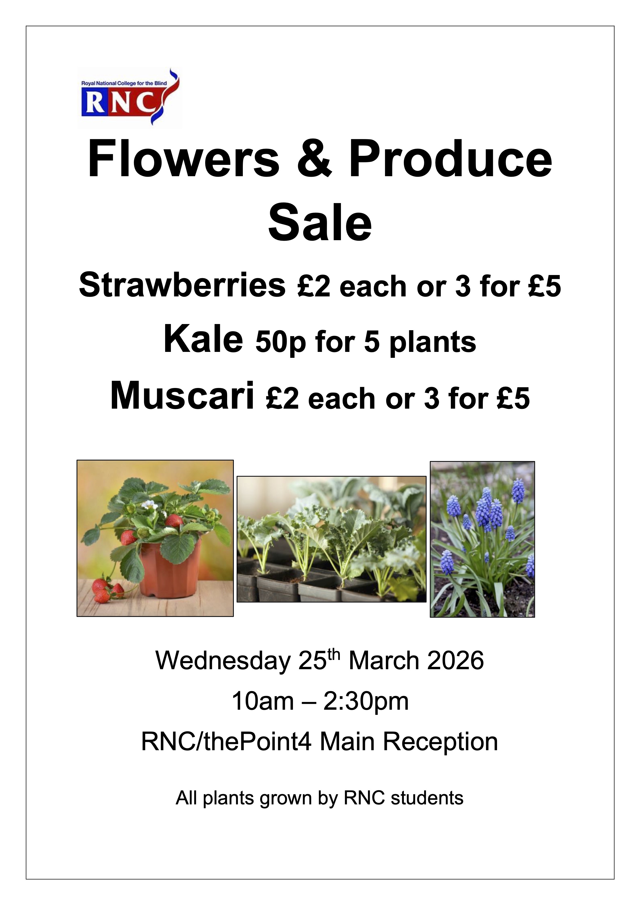 plant sale poster with details of the sale as in the post. The poster has the RNC logo plus 3 pictures - one each of strawberry, kale and muscari plants